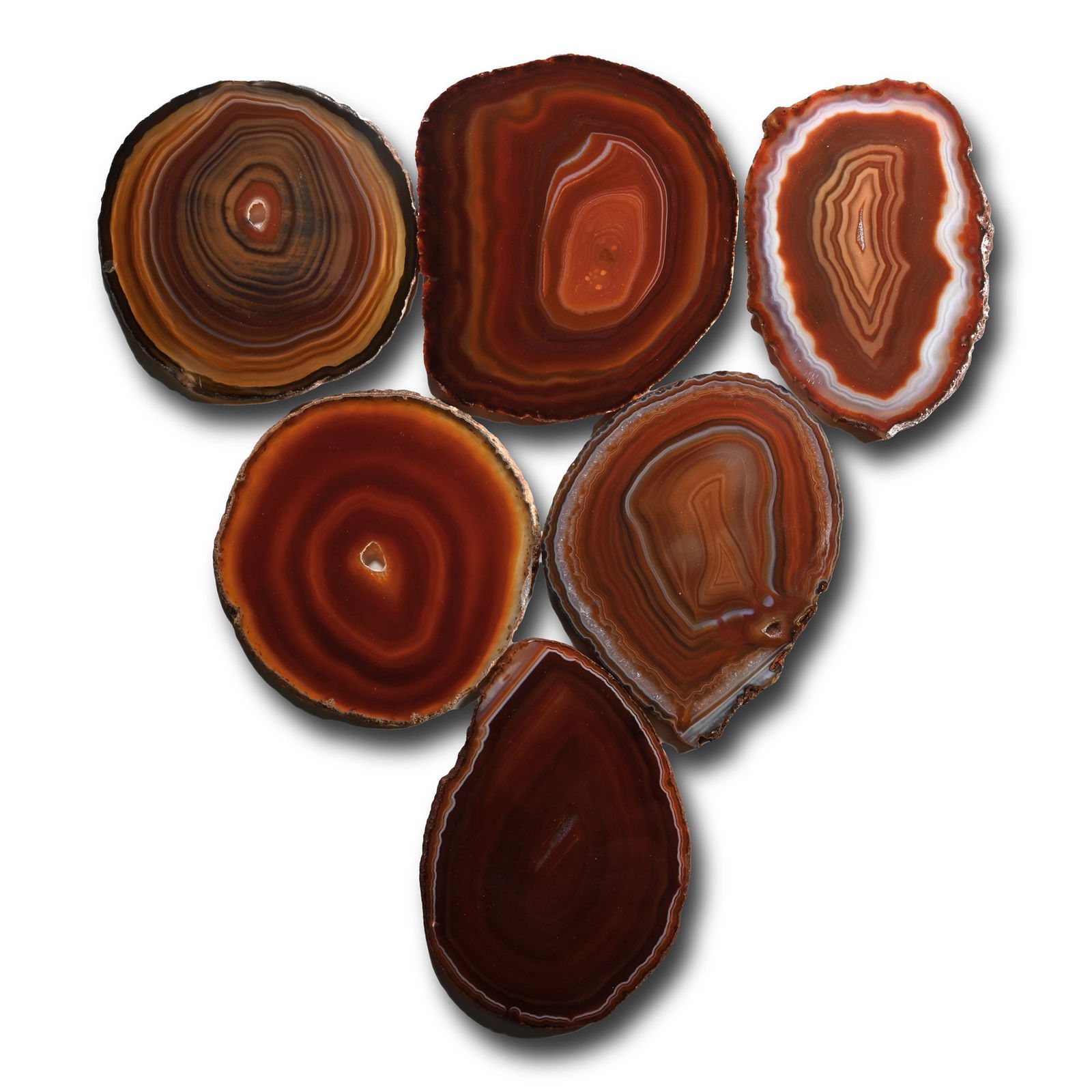 Cut and Polished Agate Slice Collection [6] (1 of 1)