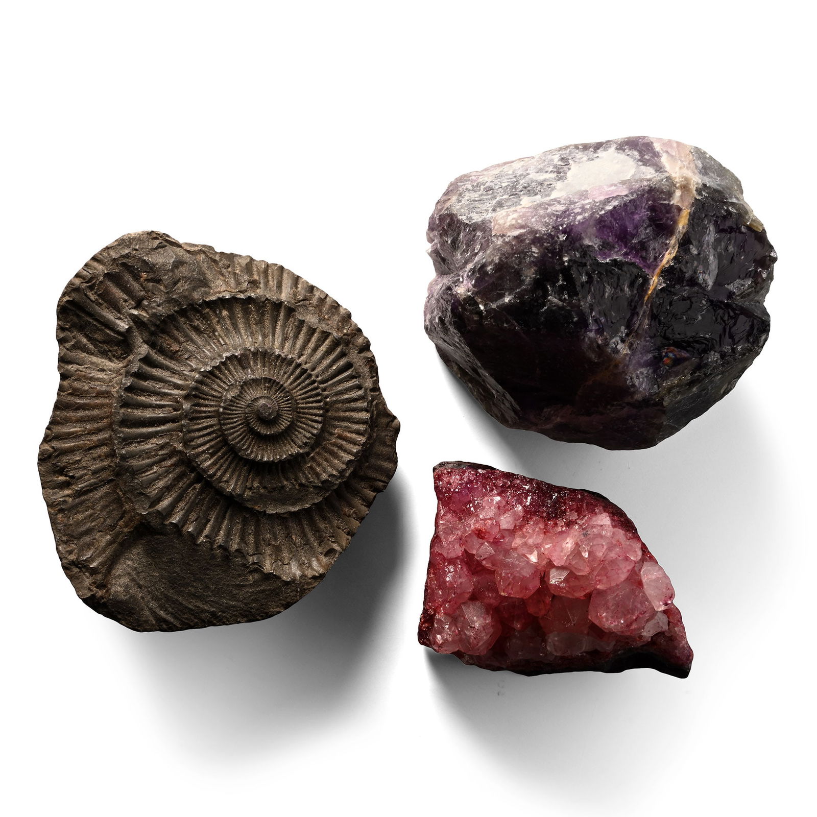 Mineral and Fossil Impression Group: Comprising amethyst, a negative impression of an ammonite, and a quartz specimen with an accessory mineral. 248 grams total, 44-63 mm (13/4 - 2 1/2 in.). [3, No Reserve] From the private collection of