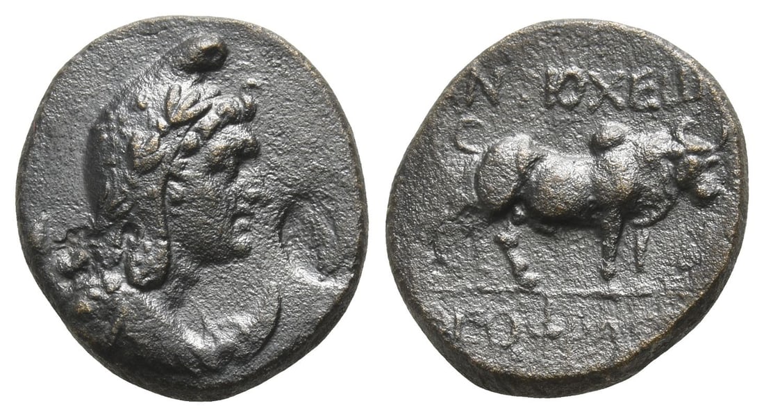 Pisidia, Antioch AE 19mm. (1 of 1)