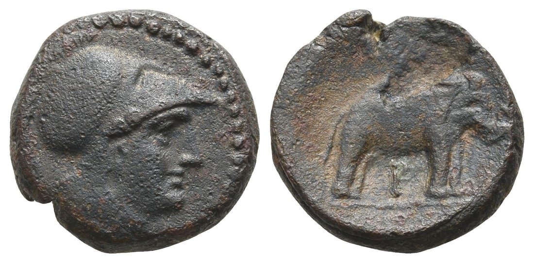 Seleukid Empire, Seleukos I Nikator AE 19mm. (1 of 1)
