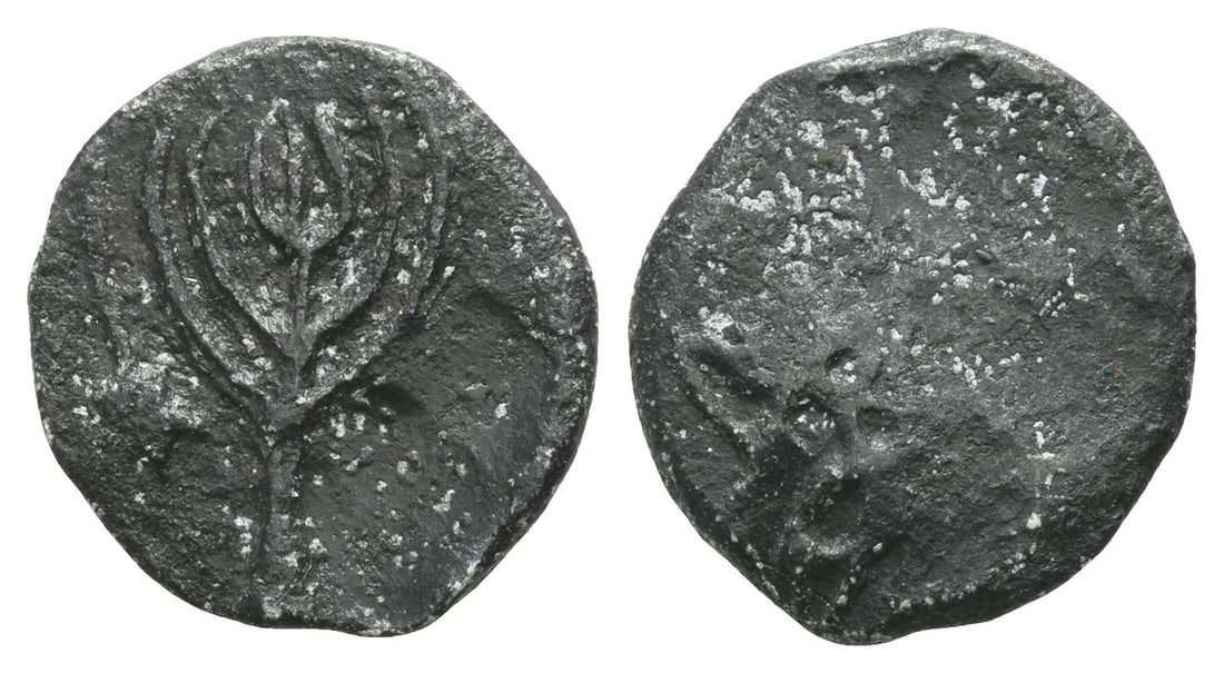 Anonymous PB Tessera. (1 of 1)