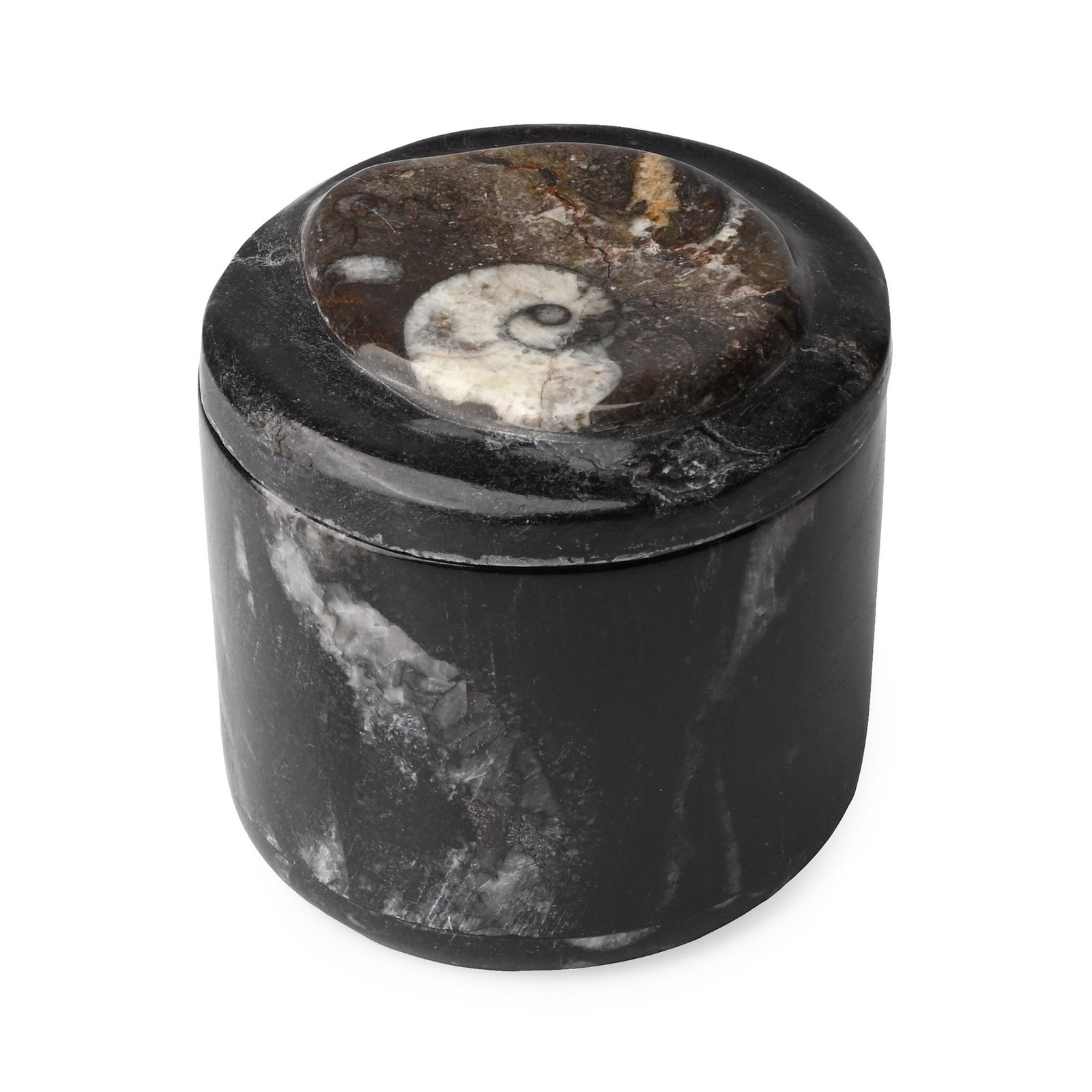 Polished Fossil Goniatite Lidded Pot (1 of 1)