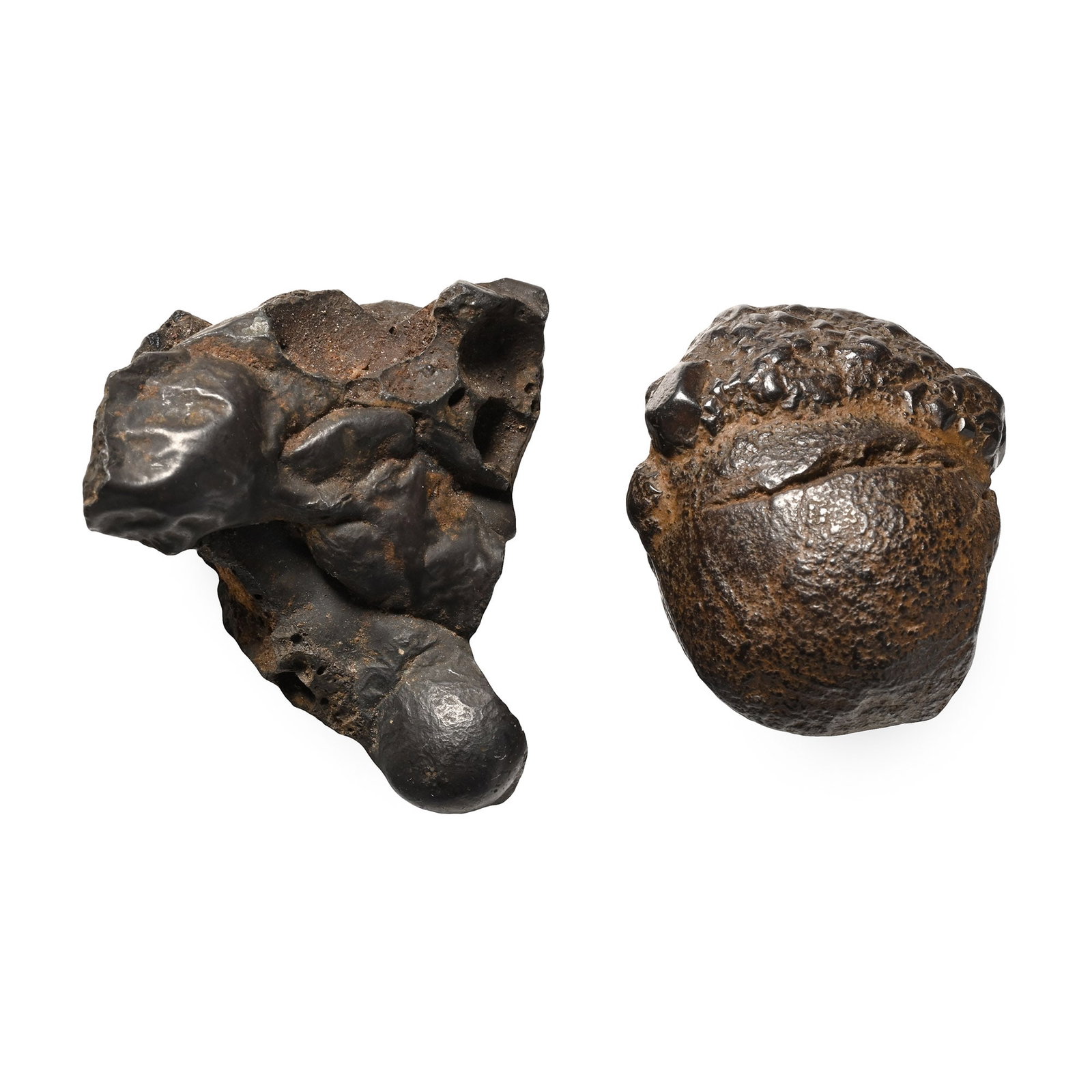 Asian Chondrite Meteorite Collection (1 of 1)