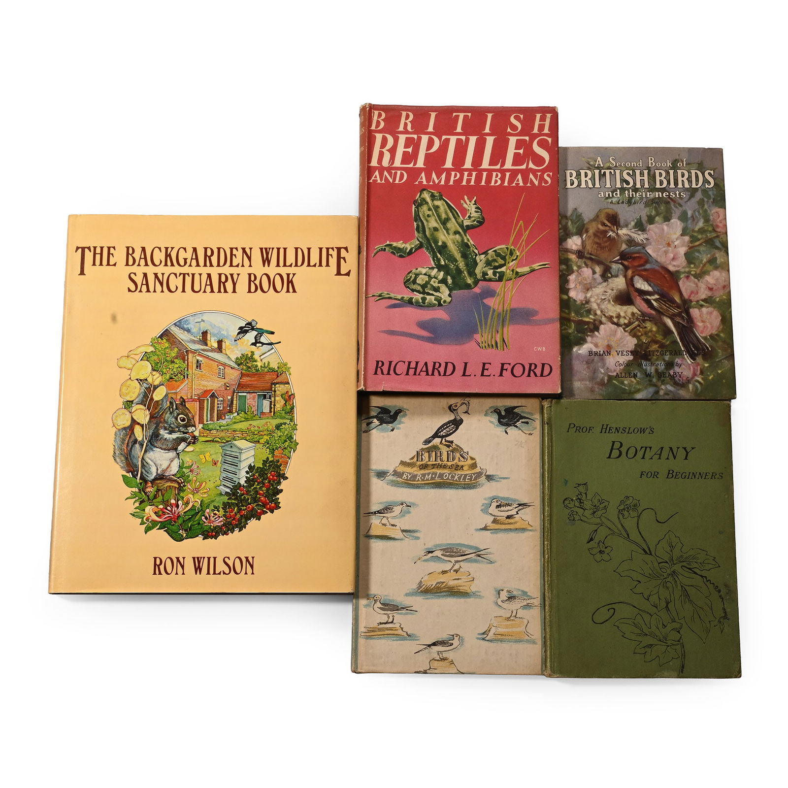 British Wildlife Book Group - 5 Titles (1 of 1)