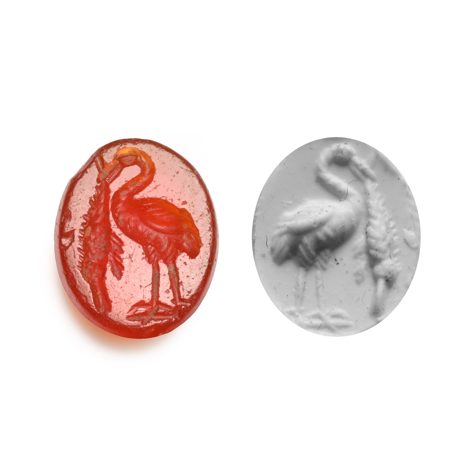 Roman Carnelian Gemstone with Swan: 2nd-3rd century A.D. With intaglio swan standing with a fish dangling from its beak; supplied with a museum-quality impression. 0.33 grams, 9.63 mm (3/8 in.). [No Reserve] From the private collection 