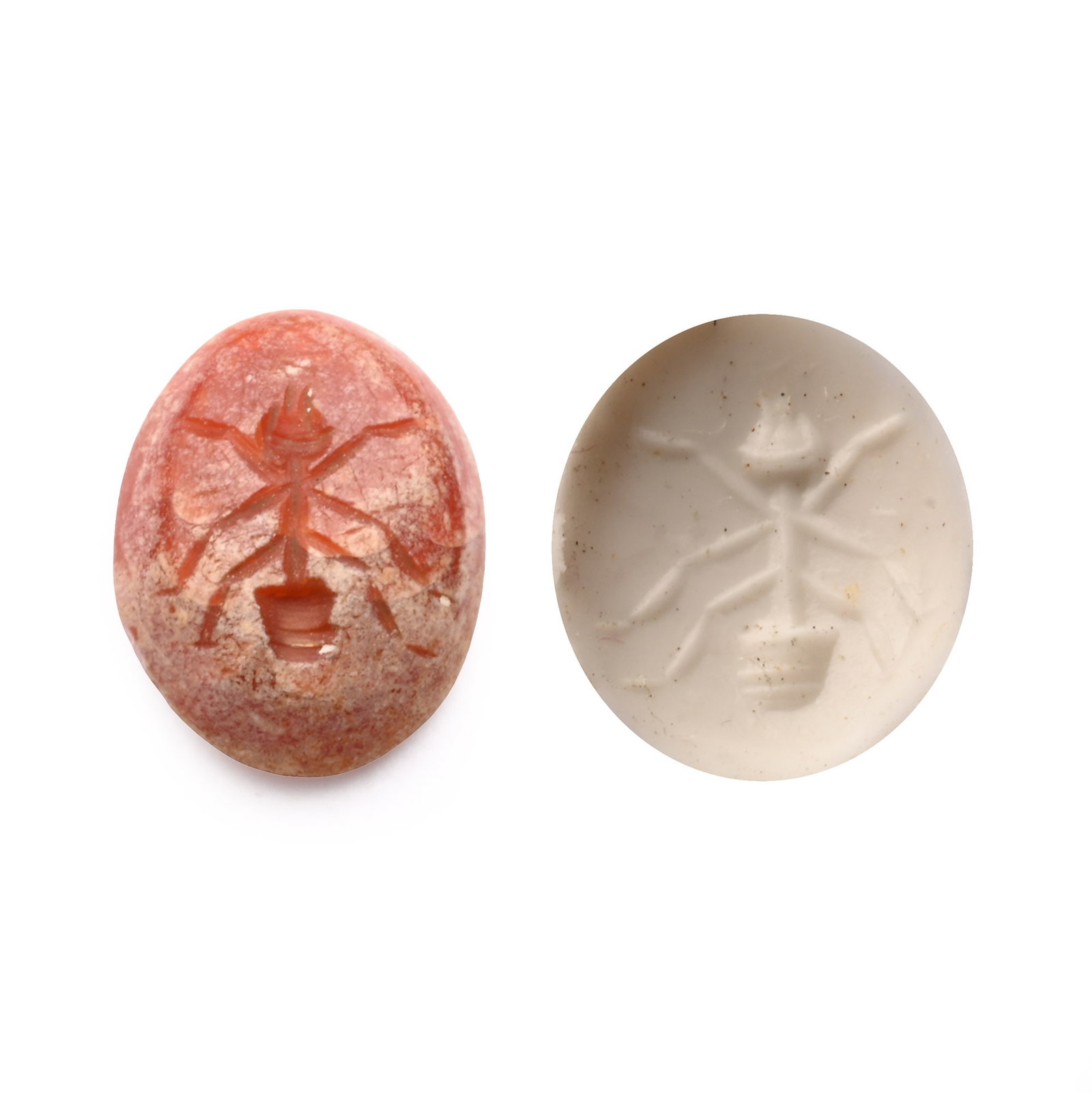 Roman Carnelian Gemstone with Ant: 2nd-3rd century A.D. With intaglio ant; supplied with a museum-quality impression. 0.10 grams, 7.08 mm. (1/4 in.). [No Reserve] From the private collection of a European gentleman (1942-2024), formed 