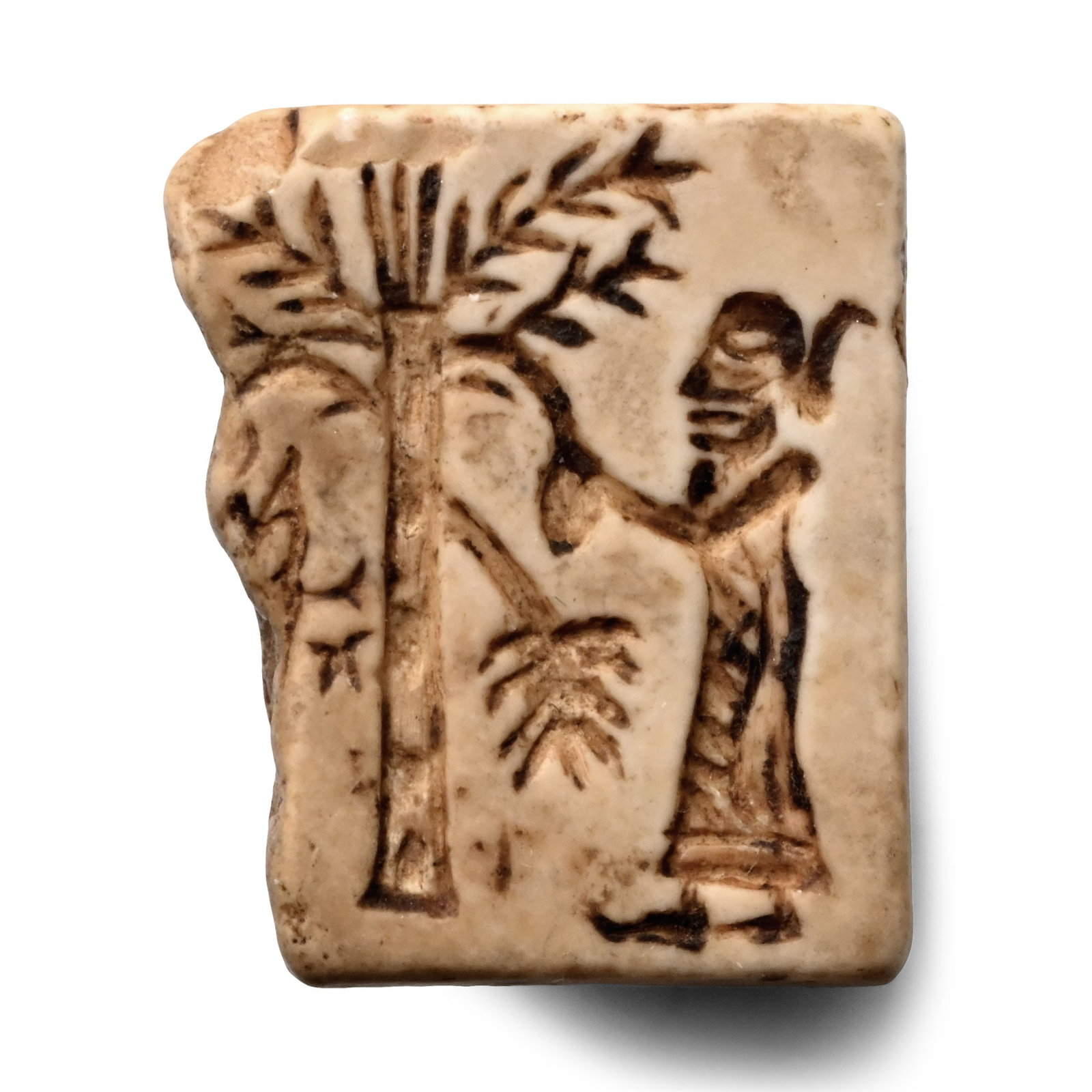 Neo-Babylonian Faience Frog Amulet with Man Plucking a Fruit from a Tree (1 of 1)