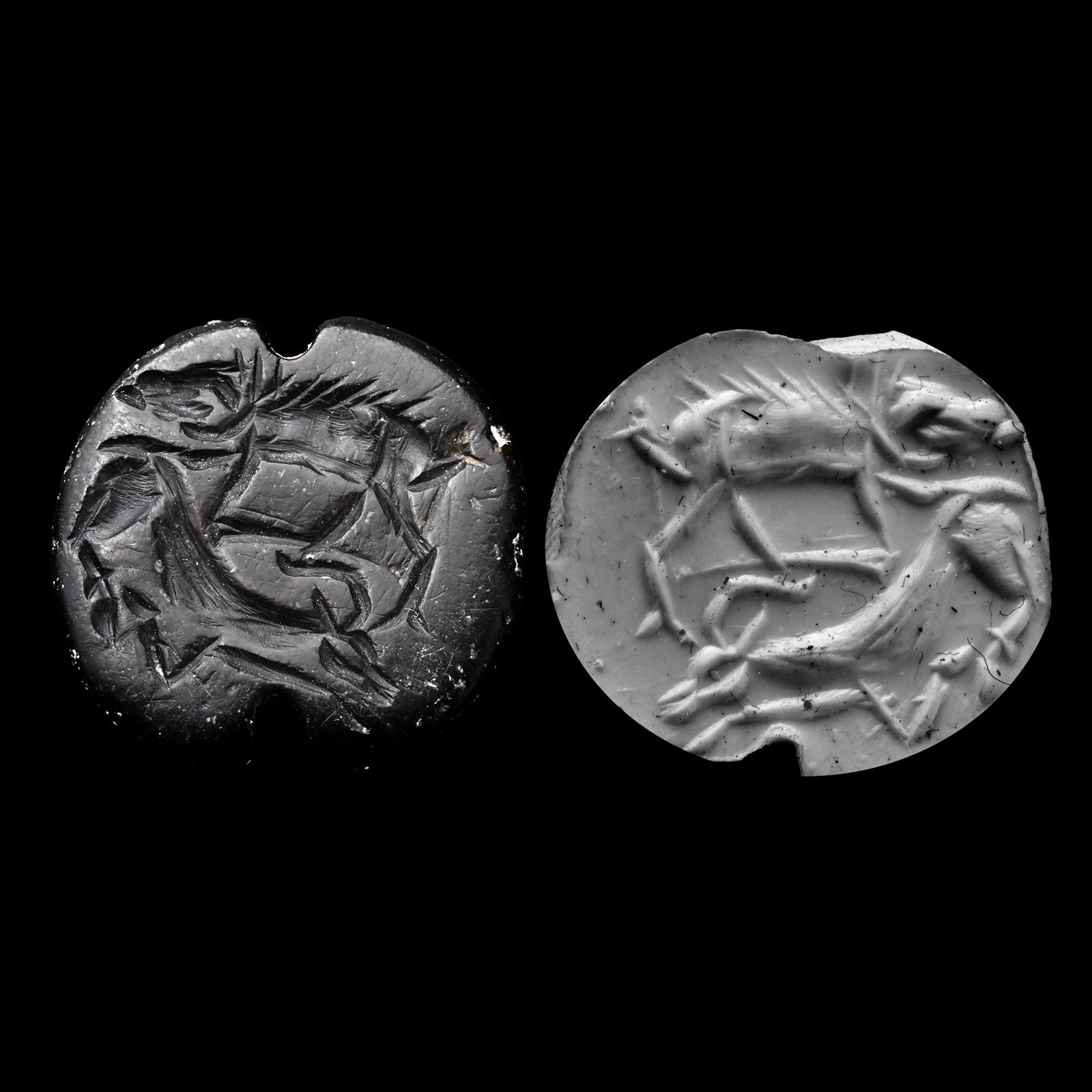 Western Asiatic Black Stone Stamp Seal with Animals: 2nd-1st millennium B.C. Plano-convex type with incuse wolf and stag motif; supplied with a museum-quality impression. 4.15 grams, 21.76 mm (7/8 in.). [No Reserve] From the private collection of a Euro