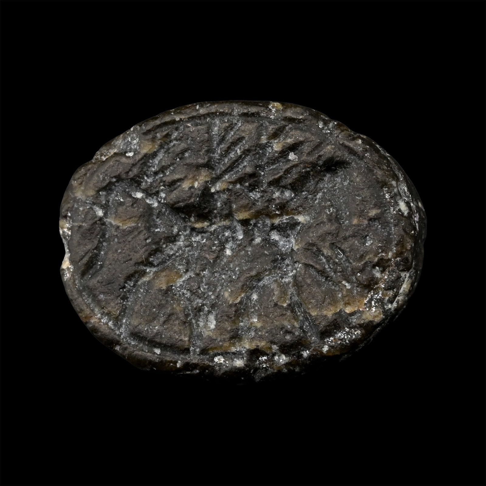 Western Asiatic Black Stone Scaraboid with Walking Horse: Circa 800-700 B.C. Carved anatomical detailing on the body, underside with an advancing horse, and a branch above. 2.45 grams, 15 mm (5/8 in.). [No Reserve] From a late Warwickshire numismatic collect