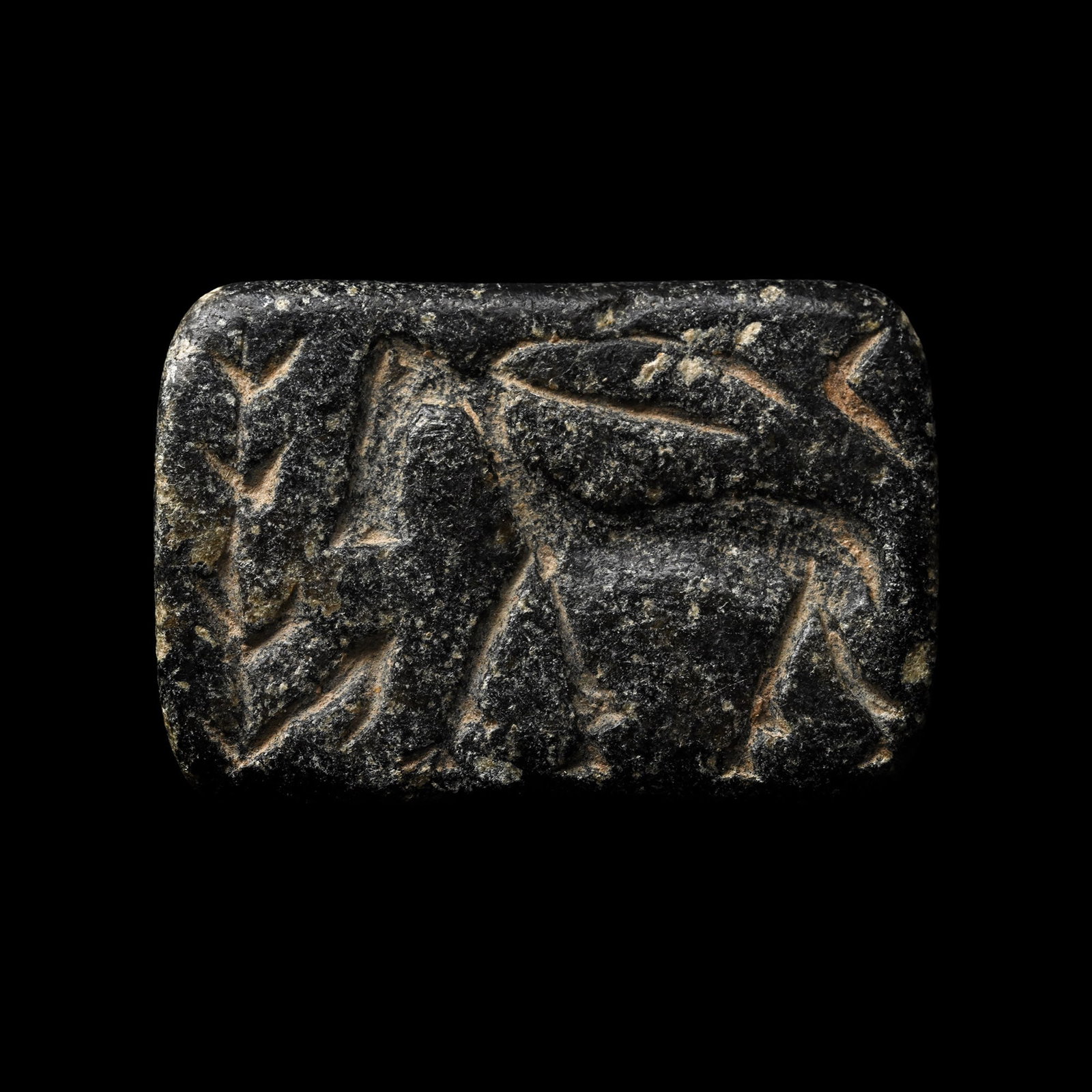 Large Western Asiatic Black Stone Stamp Seal with Animal: 2nd millennium B.C. Triangular in section and rectangular in plan with incuse ibex and tree motifs. 13.61 grams, 36 mm (1 3/8 in.). [No Reserve] From the private collection of a European gentleman (19