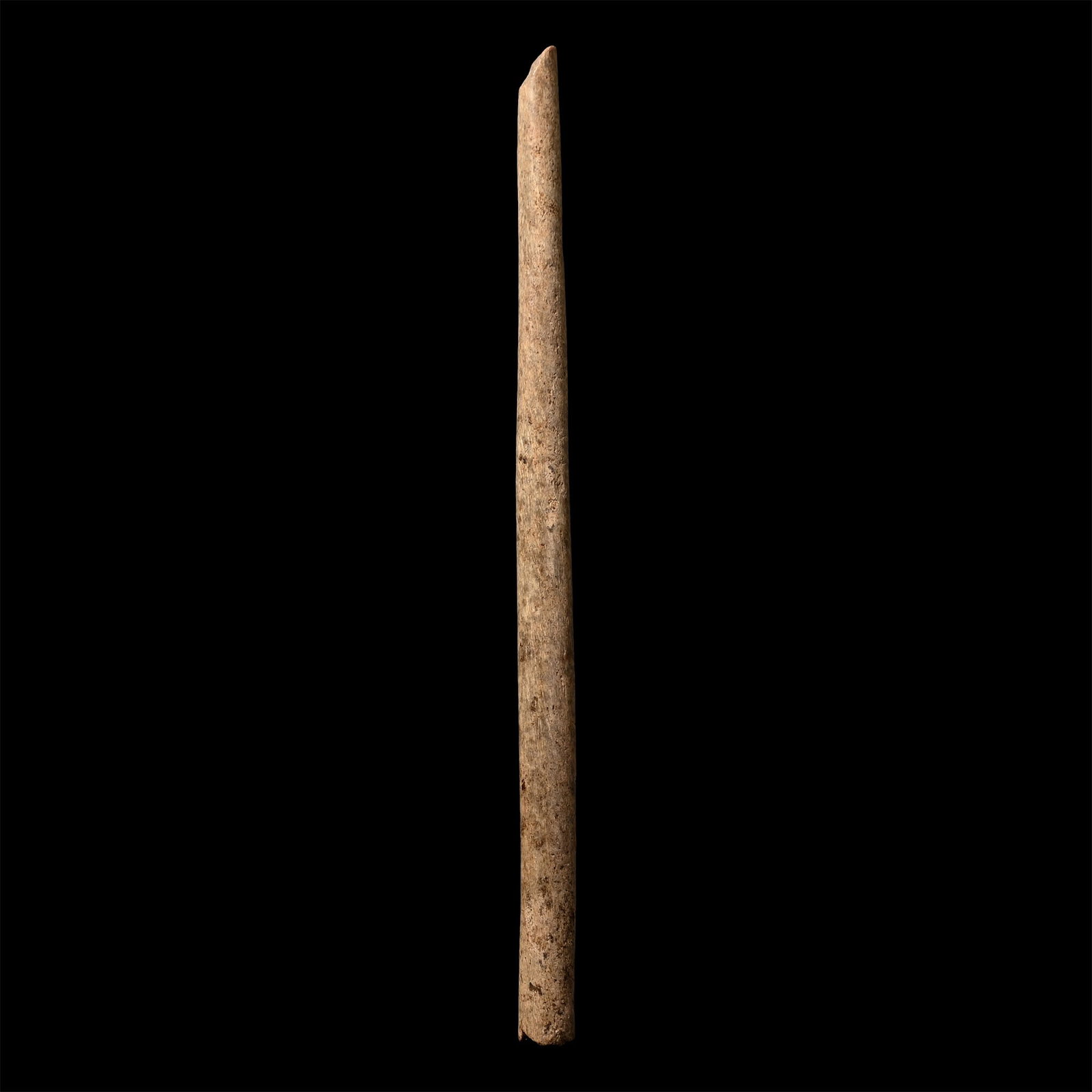 French Stone Age Magdalenian Bone Needle (1 of 1)