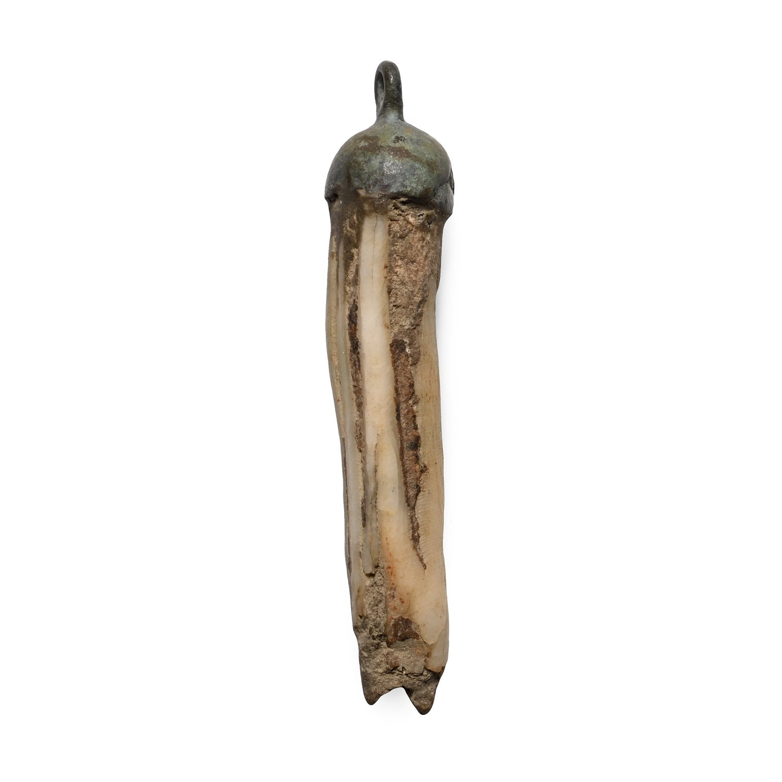 Viking Age Tooth Pendant: Circa 9th-12th century A.D. Comprising a domed bronze cap with a round suspension loop, set with a long striated tooth or a tusk. 22.9 grams, 78.6 mm (3 1/8 in.). [No Reserve] Ex UK private collection