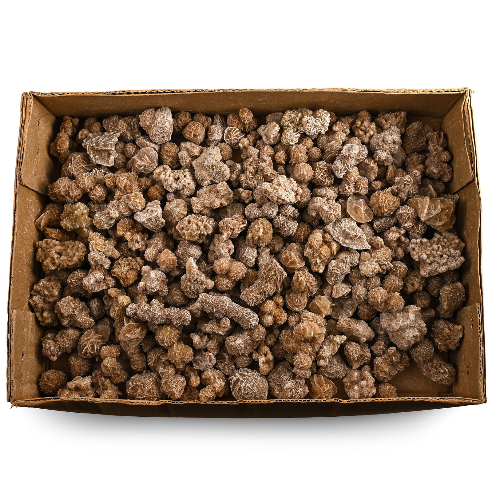 A Very Large Group of Medium Desert Rose Specimens (1 of 1)