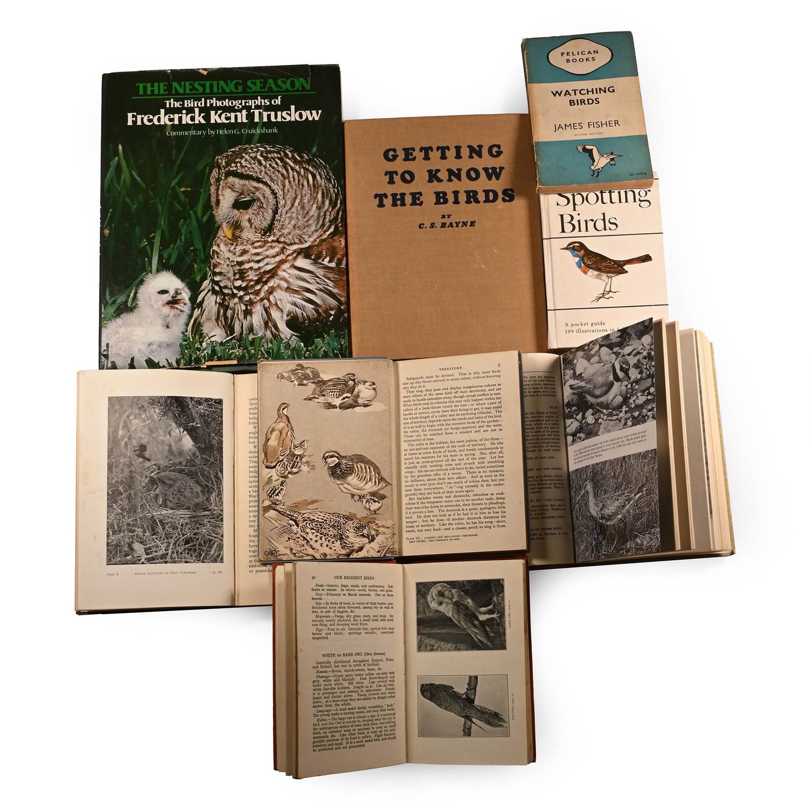 Books on Birds - 8 Titles: 1925-1980 A.D. F.K. Truslow - The Nesting Season - London, 1979, hardback with dustwrapper, 136 pp, colour and monochrome plates; C.S.Bayne - Getting to Know the Birds - London, 1948 reprint, hardback