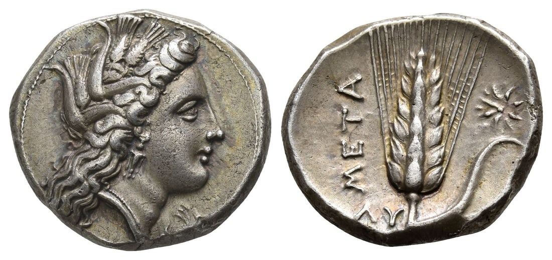 Lucania, Metapontion AR Didrachm or Nomos.: Circa 330-290 BC. Struck under the magistrates EY- (Eu-) and ?Y- (Ly-). Head of Demeter to right, wearing grain wreath, pendant earring and pearl necklace; ?? beneath chin / ????, ear of barley with l