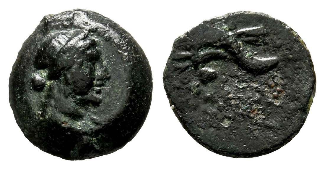 Caria, Kaunos AE Chalkous.: 191/0-166 BC. Diademed male head to right / Double cornucopiae bound with fillet. SNG Copenhagen 184; SNG Keckman 75. 1.78gr, 13mm, 12h. Property of a North London, UK, gentleman. TimeLine Auctions fo