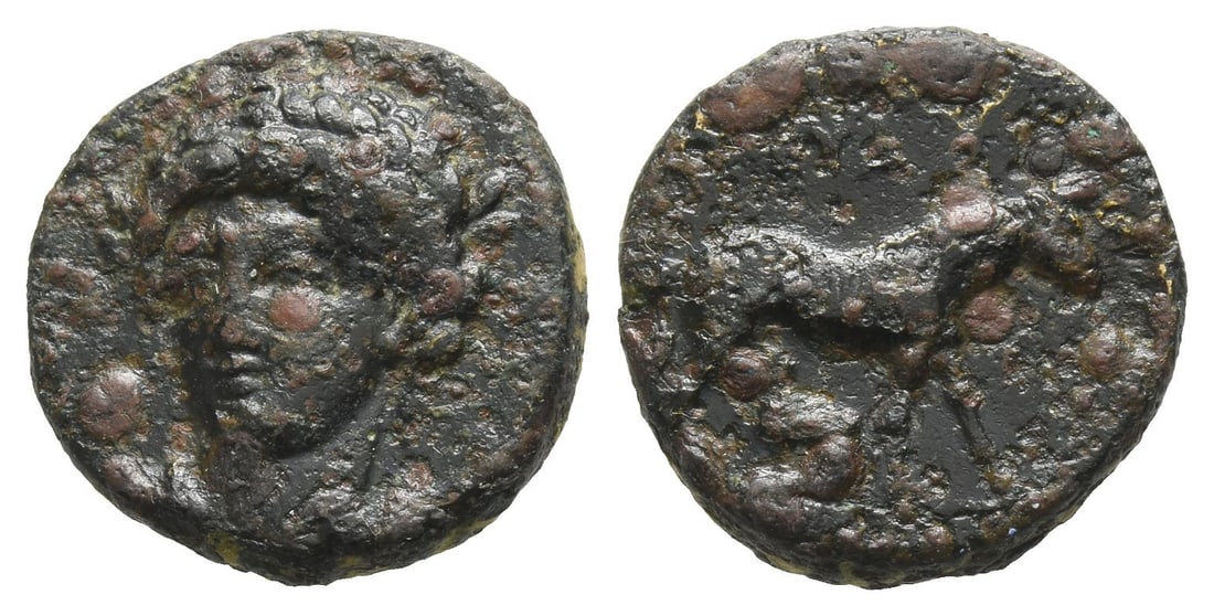 Cyprus, Kourion. Eua- AE Unit.: Early-mid 4th century BC. Laureate head (of Apollo?) facing slightly to left, drapery around neck / Mare standing to right, suckling foal standing to left below; EYA above. Destrooper pl. 10, 11; Zapi
