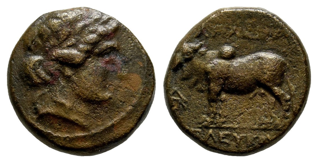 Seleukid Empire, Seleukos II Kallinikos AE 16mm.: 246-226 BC. ??? mint, associated with Antioch. Laureate head of Apollo to right / BA?I?E?? ?E?EYKOY, zebu standing to left, monogram of ??? in left field. SC 708. 4.12gr, 16mm, 1h. Property of a Cambr