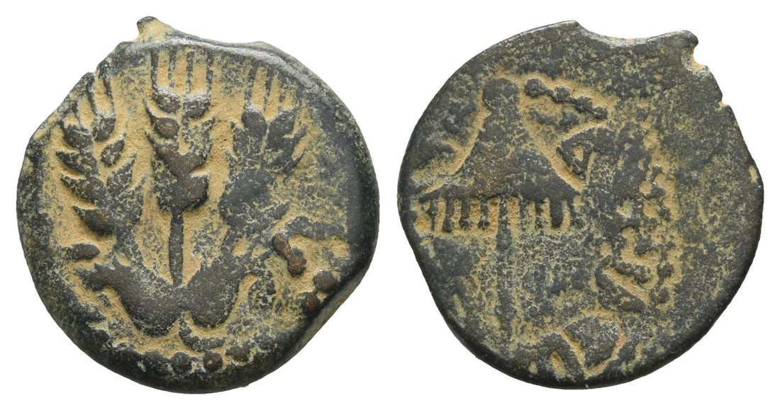 Judaea. Herodians, Agrippa I AE Prutah.: Dated RY 6 (41/2 CE). Jerusalem mint. Three ears of corn; L ? (date) across fields / BACI???[C A?PI?A], canopy. RPC I, 4981; TJC 120; Hendin GBC 6, 6274; Hendin GBC 5, 1244; Sofaer 153-6. 2.55gr, 18mm
