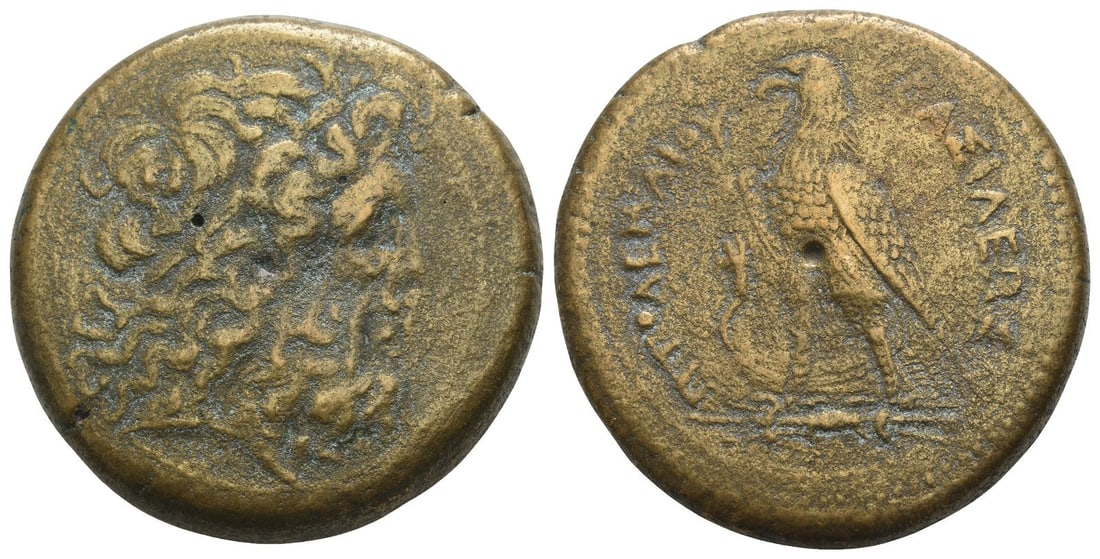 Ptolemaic Kingdom of Egypt, Ptolemy III Euergetes AE Drachm.: 246-222 BC. Alexandreia mint. Series 5A. Horned head of Zeus-Ammon to right, wearing tainia with basileion / ?????????? ????????, eagle standing to left on thunderbolt; cornucopia to left, no control 