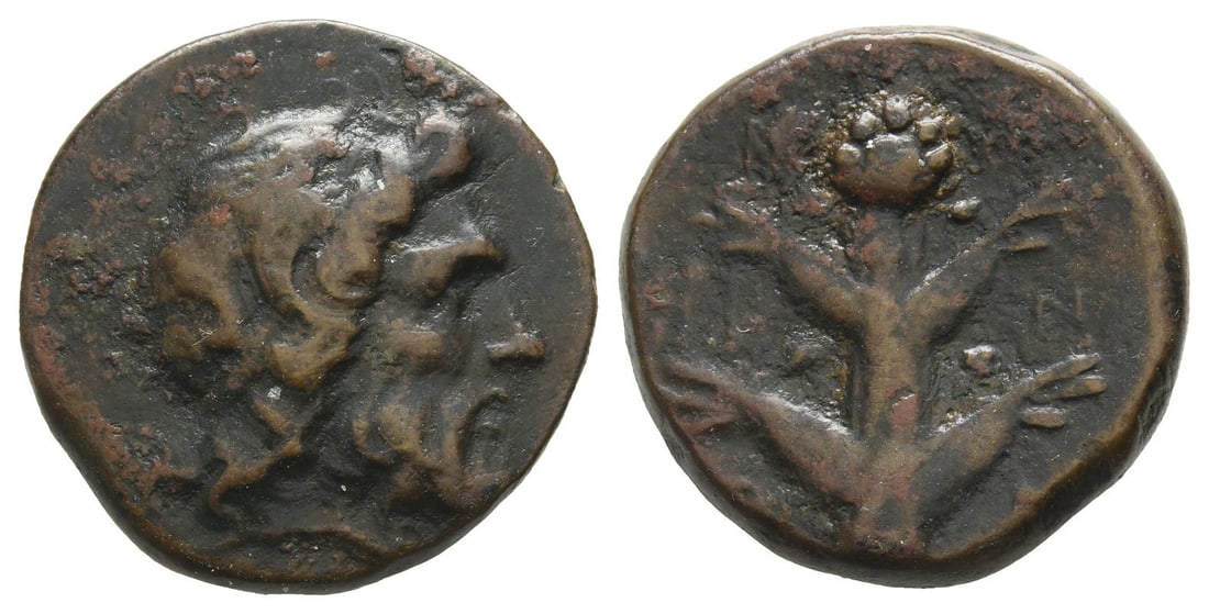 Kyrenaika, Kyrene AE 19mm.: Circa 250-246 BC. Koinon issue. Diademed head of Zeus-Ammon to right / K-O-I / N-O-N, silphium plant. Asolati 61; SNG Copenhagen 1279. 9.60gr, 19mm, 11h. Property of a London, UK, private collector. T