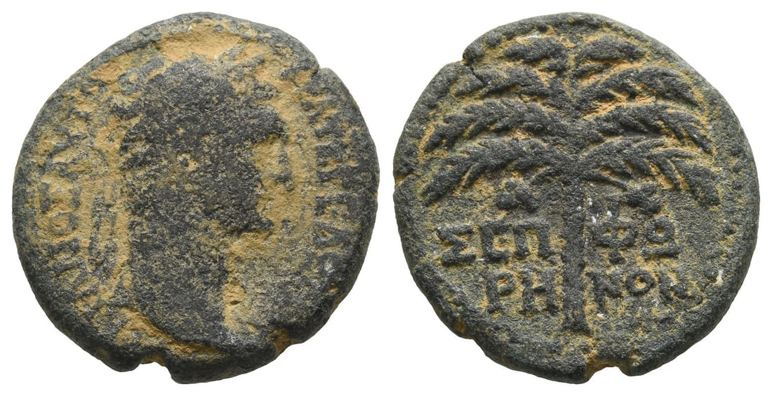 Trajan AE 23mm of Sepphoris, Judaea.: AD 98-117. [TP]AIANO? AVTOKPAT?P E??[KEN], laureate head to right / Palm tree, ?E???-PH-N?N in two lines across. RPC III, 3937; Sofaer 2; Rosenberger 4; SNG ANS 1088-91. 8.89gr, 23mm, 12h. From the co