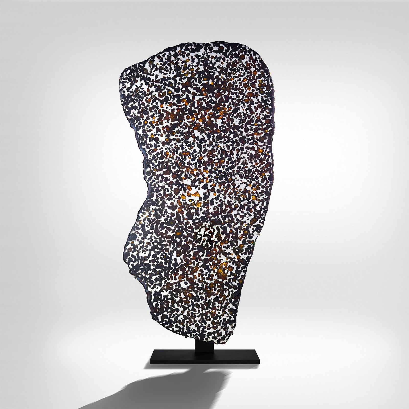 Sericho Meteorite Cross-Section: Circa 4.5 billion years B.P. A spectacular polished slice displaying the characteristic crystalline structure of pallasites, with translucent amber-coloured olivine crystals suspended in a shimmering 