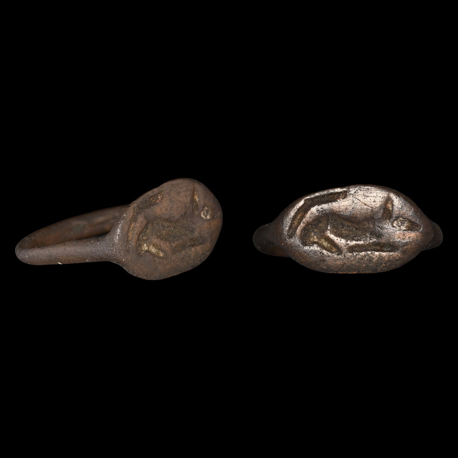 Greek Bronze Ring with Recumbent Mouse: Circa 3rd-2nd century B.C. Comprising a D-section hoop and a lentoid bezel with a reclining mouse facing right with its long tail curled above its back. 2.41 grams, 22.24 mm overall, 18.88 mm internal