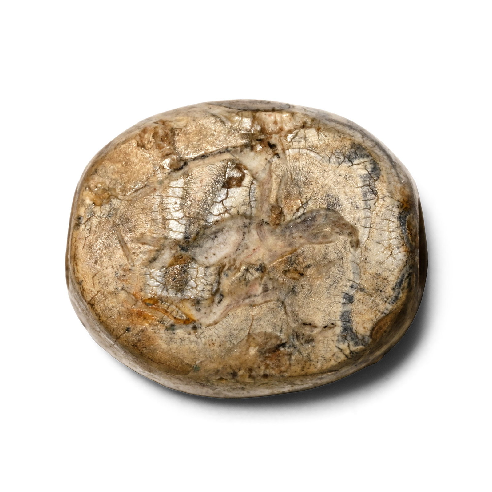 Eastern Greek Variated Agate Scaraboid Gemstone with Birds: 6th-4th century B.C. Scaraboid type with incuse design to the underside of tree-branch with two perching birds; supplied with a museum-quality impression. 4 grams, 19 mm (3/4 in.). [No Reserve] From t