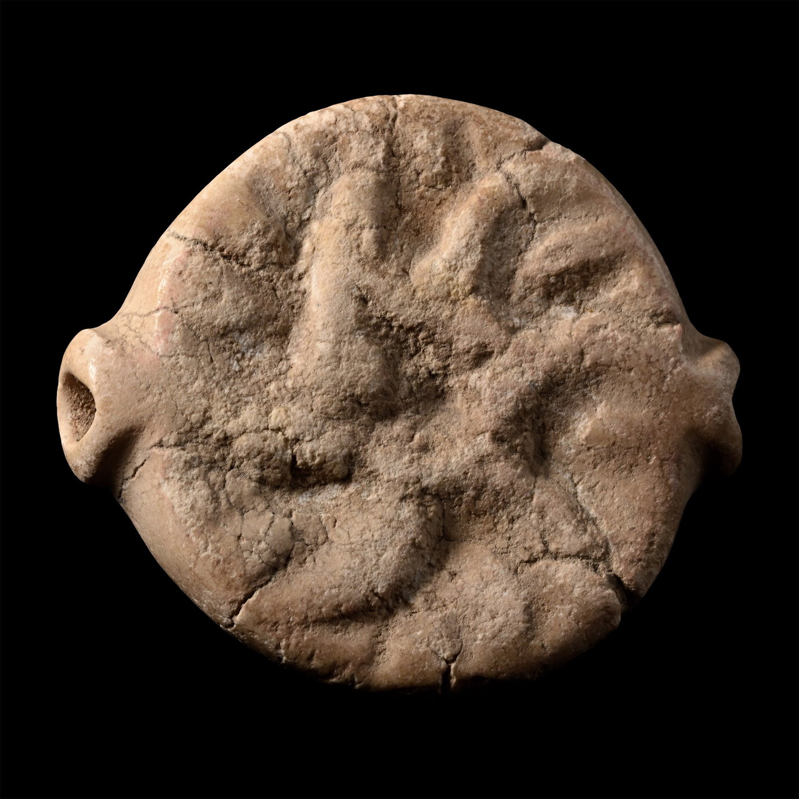 Mesopotamian White Stone Seal with Water Creatures (1 of 1)