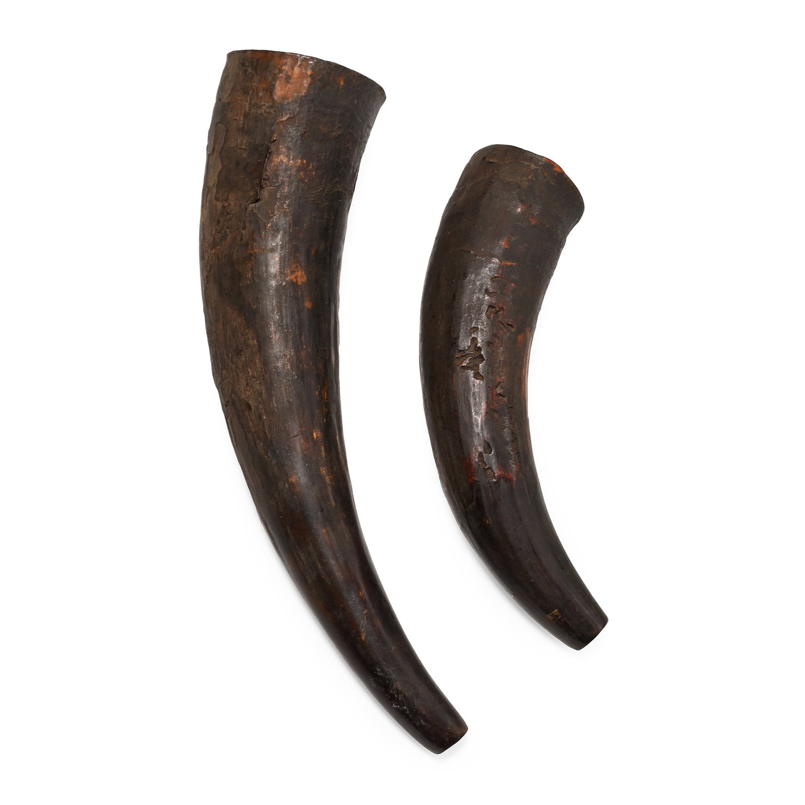 Zulu Woman's 'Izimpondo' Medical Cow Horns and Photograph of an Unknown Zulu, a descendant of the (1 of 1)