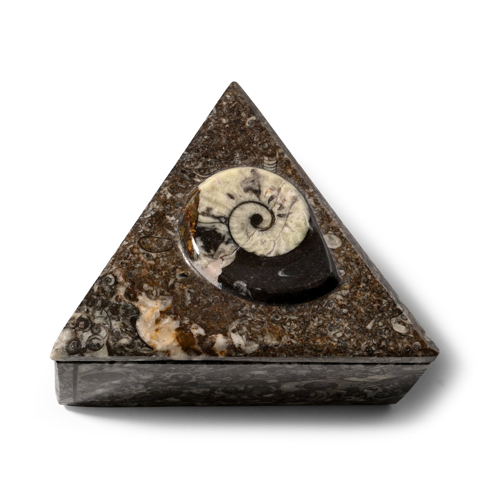 Polished Goniatite Fossil Triangular Lidded Box: Devonian Period, circa 400 million years B.P. Carved from a fossiliferous stone and the lid set with a goniatite specimen. 557 grams, 12.8 cm (5 in.). [No Reserve] Ex Cambridgeshire, UK, collection. T
