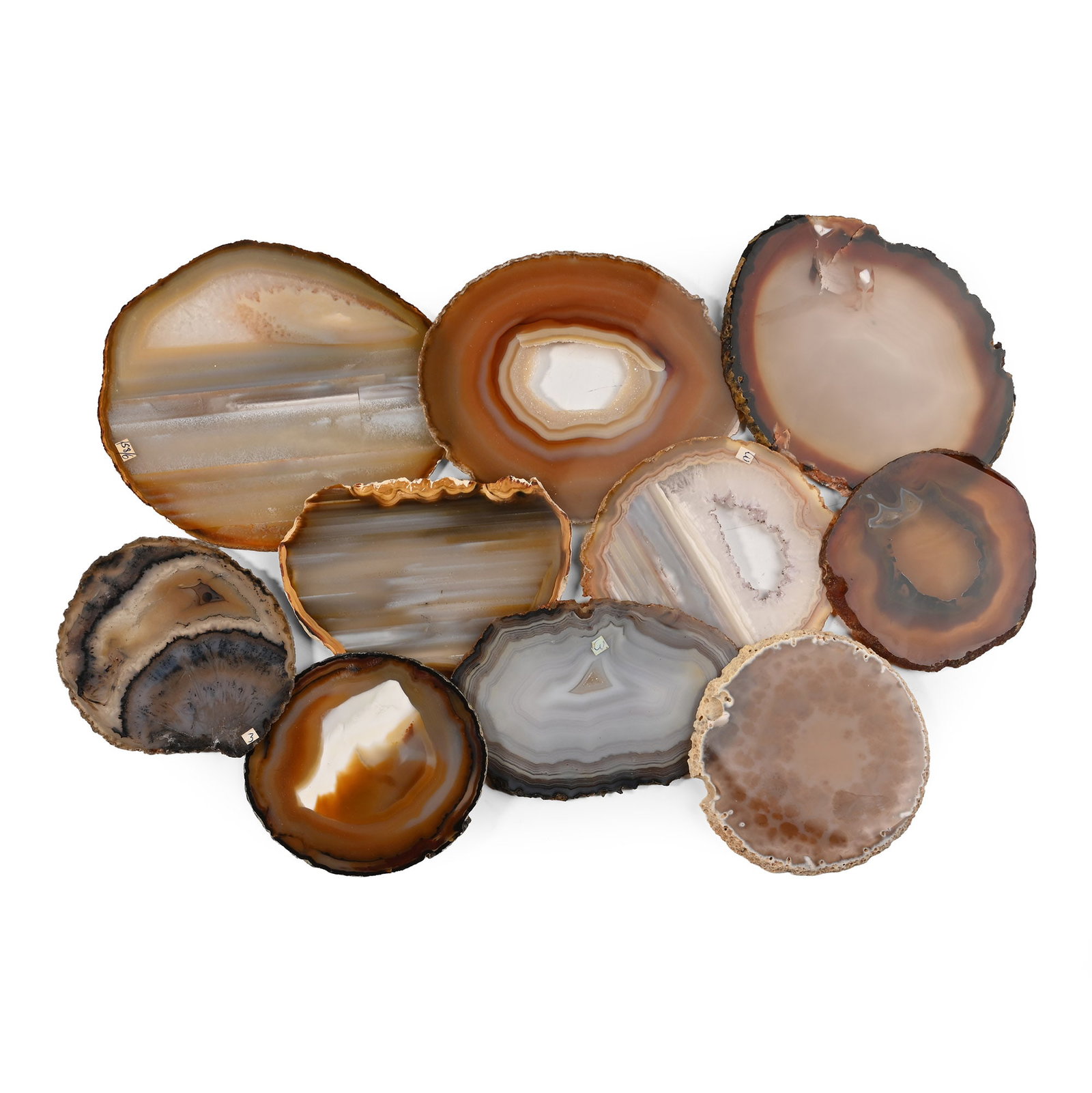 Group of Ten [10] Cut and Polished Agate Geode Slices: Comprising ten polished transparent to translucent slices, some with crystal-lined centres, and one with dendritic inclusions. 844 grams total, 9-14 cm (3 1/2 - 5 1/2 in.). [10, No Reserve] From Brazi