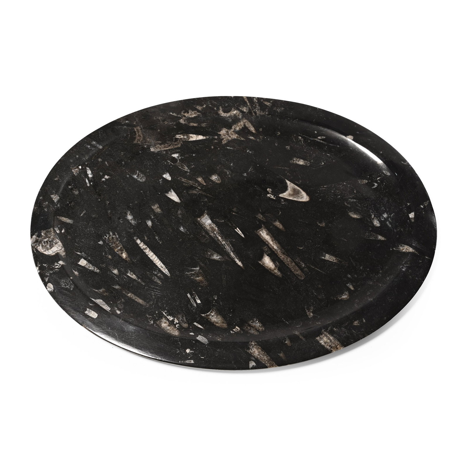 Large Polished Orthoceras Fossil Oval Platter (1 of 1)