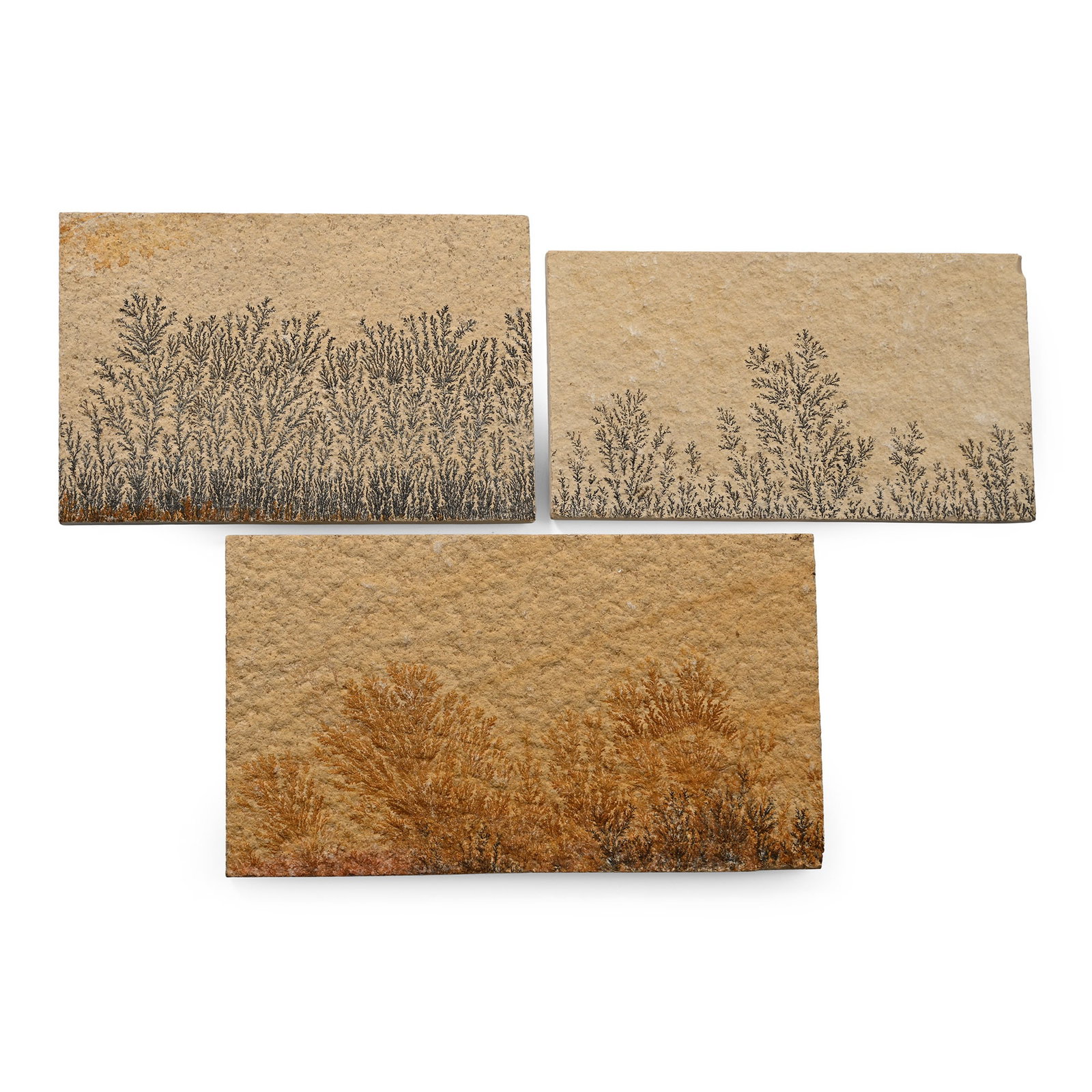 Manganese Dendrite Landscape Plaque Group (1 of 1)