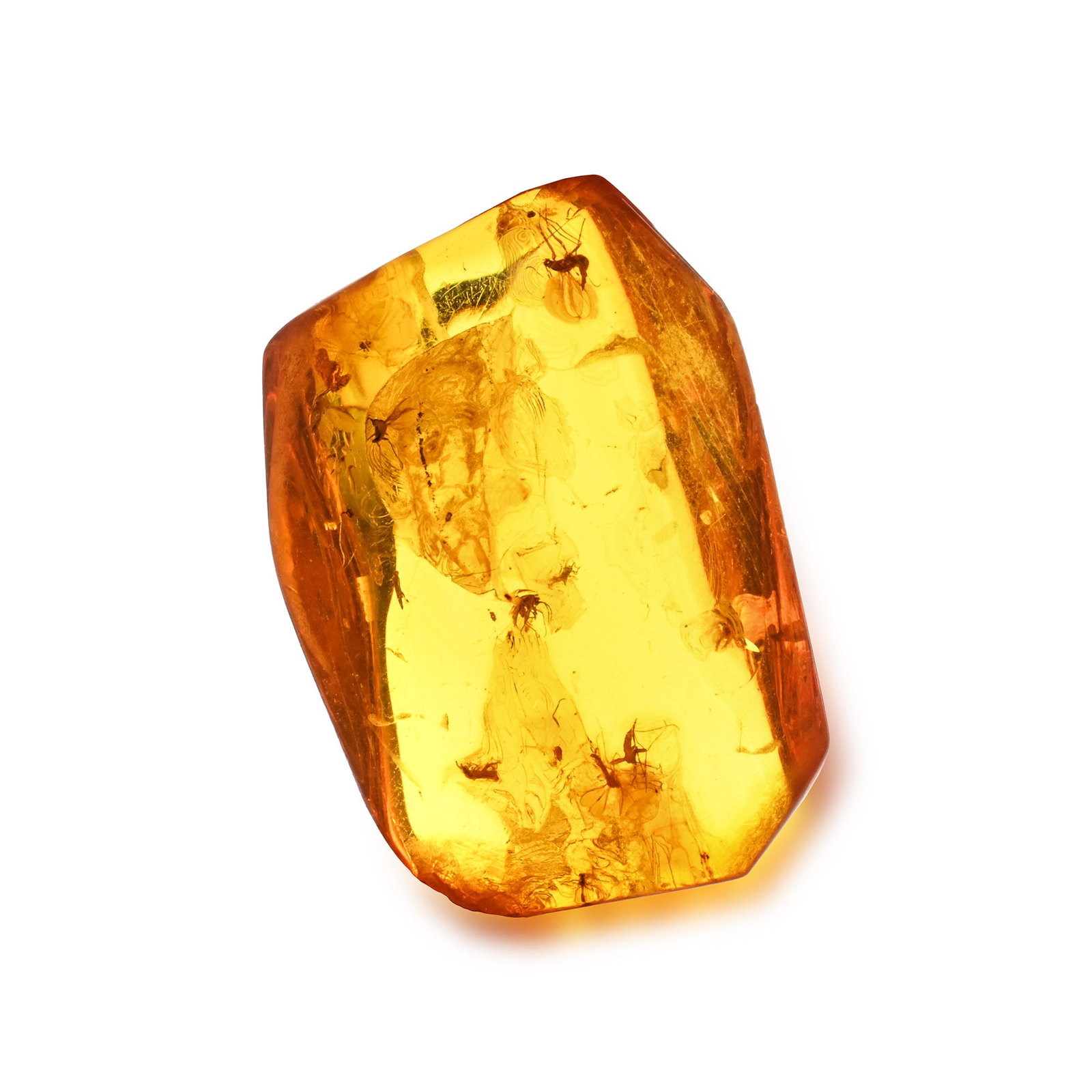 Polished Amber with Midges: Oligocene Period, circa 45 million years B.P. Translucent orange amber with midge inclusions. 2.89 grams, 28 mm (1 1/8 in.). [No Reserve] From a Norfolk, UK, collection. TimeLine Auctions follows a ri