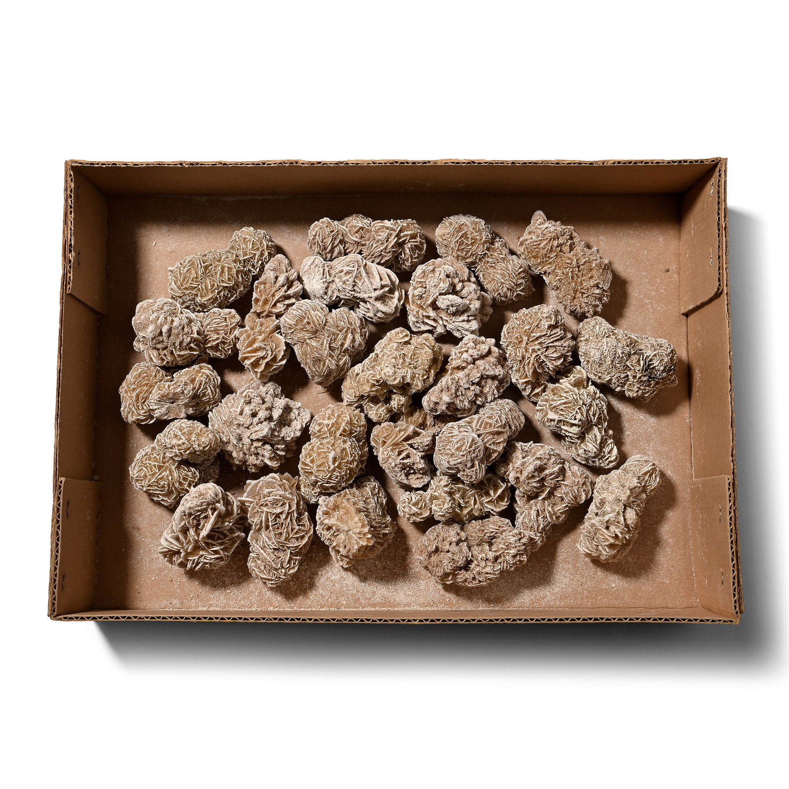 Box of Twenty-Seven [27] Desert Rose Specimens: Boxed group comprising twenty-seven specimens of radiating clusters of flattened crystals forming flower-like formations. 2.67 kg total, 55-72 mm (2 1/8 - 2 7/8 in.). [27, No Reserve] From Brazil. Ex 