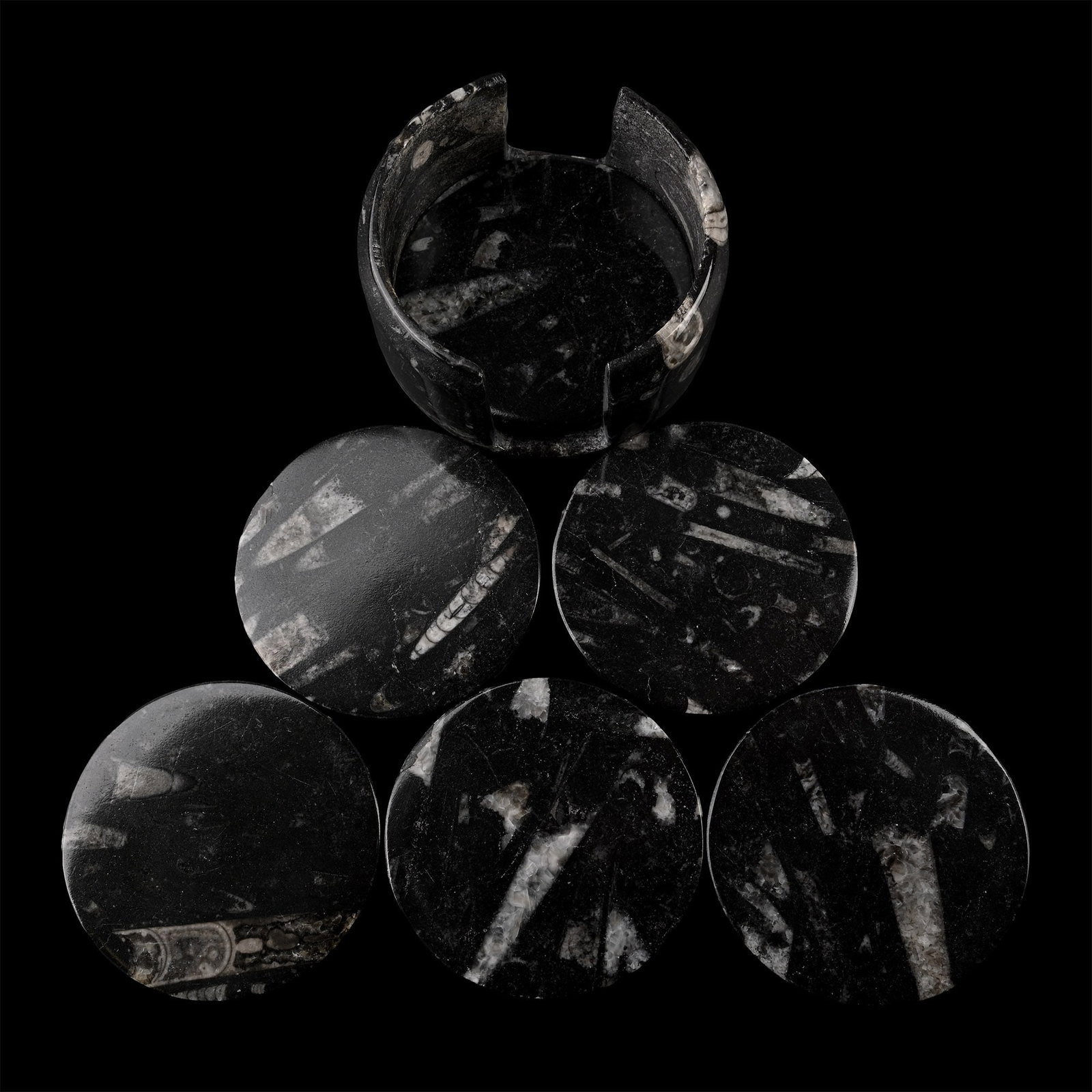Polished Fossil Orthoceras Coaster Set (1 of 1)