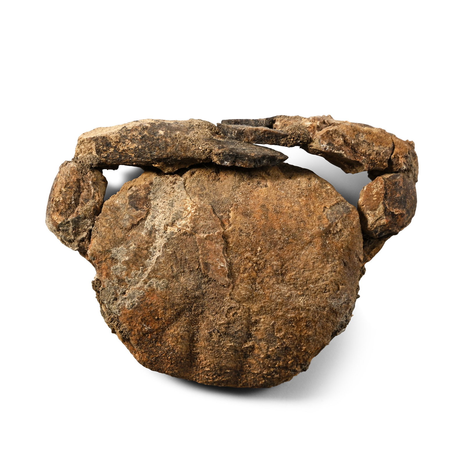 Fossil Crab with Both Claws: Eocene Period, circa 56-33 million years B.P. Comprising the body and both front legs with claws. 34.6 grams, 60 mm (2 3/8 in.). [No Reserve] From the private collection of Kenneth Machin (1936-2020),
