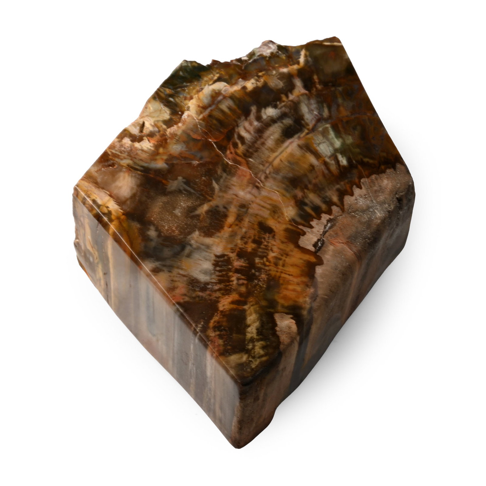 Polished Fossil Tree Section: Triassic Period, 251-199 million years B.P. Thick free-standing section of agatised wood. 964 grams, 10.9 cm (4 1/4 in.). [No Reserve] From a Cambridgeshire, UK, collection. TimeLine Auctions follows 