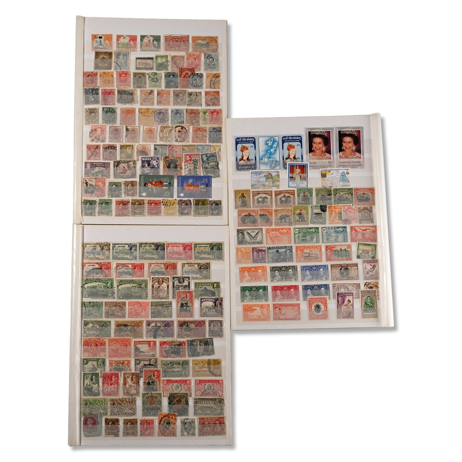 A Collection of Commonwealth Postage Stamps: 20th century A.D. A collection of over 290 mint and used stamps, mainly from the Commonwealth, held in six stock album pages. 184 grams, 29.5 x 21 cm (11 1/2 x 8 1/4 in.). [290+, No Reserve] Acquired 