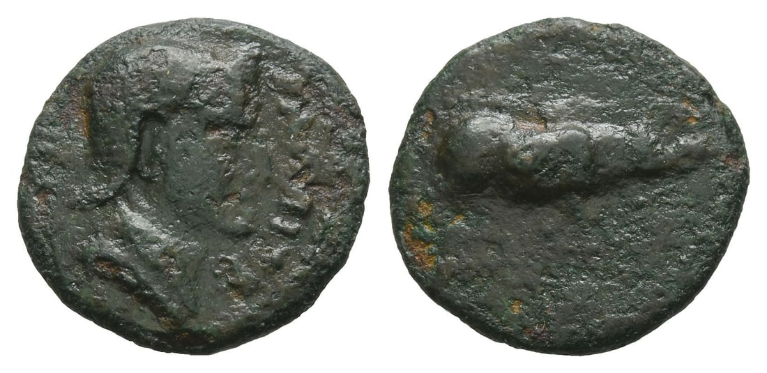 Iberia, Uncertain mint AE 16mm.: CIrca 2nd-1st century BC. Male head to right / Boar standing to right. 2.35gr, 16mm, 8h. Near Very Fine. From a UK collection. Property of a London, UK, antiquarian. TimeLine Auctions follows a rigoro