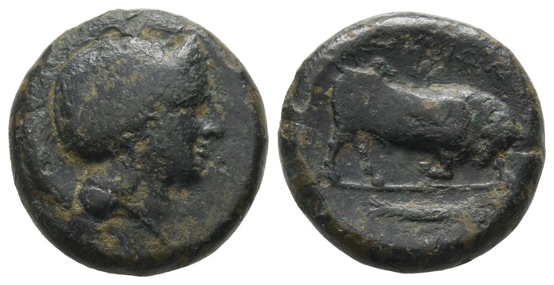 Lucania, Thourioi AE 23mm.: Circa 350-325 BC. Head of Athena to right, wearing crested Attic helmet / Bull butting to right; ??????? above, fish to right below. HN Italy 1918; HGC 1, 1279. 13.67gr, 23mm, 3h. Near Very Fine. Acqu