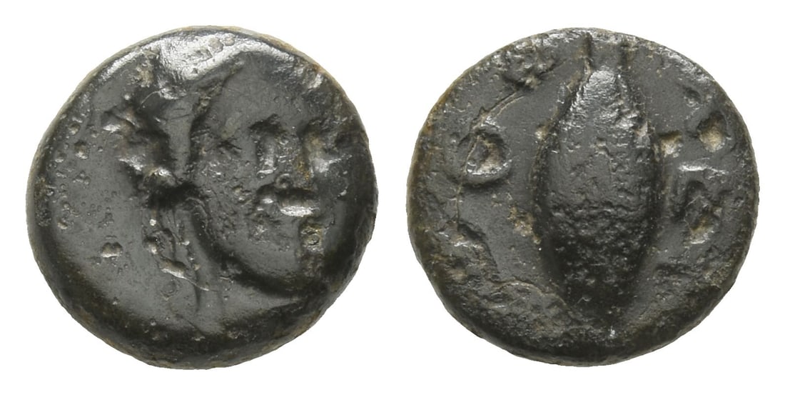 Thrace, Chersonesos AE 10mm.: 4th century BC. Head of Demeter, three-quarters facing to right, wearing earring and necklace / XE?-?O, barley corn, [branch in field?}. Cf. Trait? 1581; cf: BMC III, 56; cf. McClean 56. 1.26gr, 10mm,