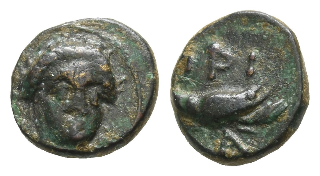 Mysia, Priapos AE 11mm.: Circa 3rd century BC. Laureate head of Apollo facing slightly to right / Crayfish; ?PI above, A below. SNG von Aulock 7527 var. (rev. legend); Asia Minor Coins Online 14626 var. (same). 1.20gr, 11mm, 