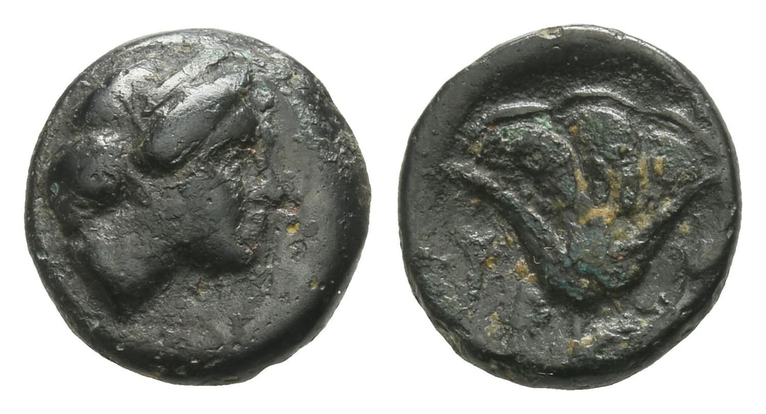 Islands off Caria. Rhodos, Rhodes AE 11mm.: Circa 350-300 BC. Head of Nymphe to right / Rose. HGC 6, 1479. 1.22gr, 11mm, 12h. Near Very Fine. London, UK, art market, 1980s. Private collection, London, UK. TimeLine Auctions follows a rigorous ve