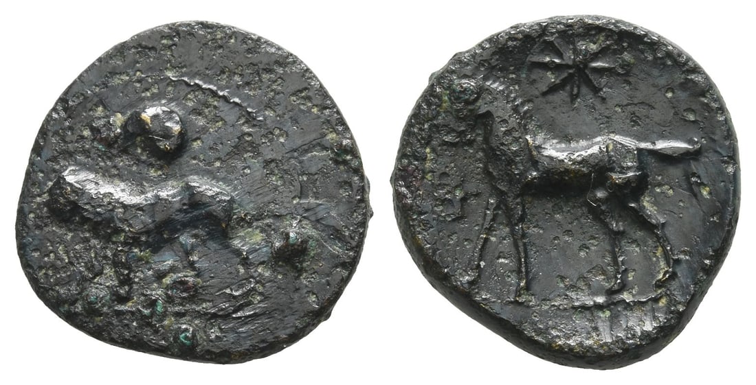 Cyprus, Kition AE 17mm.: Pumiathon, circa 361-312 BC.. Lion walking to left; head of ram to left above / Horse walking to left; star above, ankh to left. Destrooper pl. 10, 6; Zapiti & Michaelidou 27-8; Tziambazis 128 (Salami