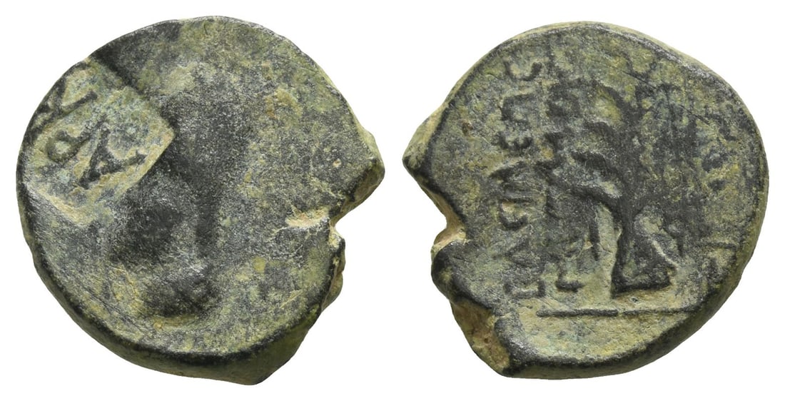 Kings of Armenia, Tigranes II AE Dichalkon. (1 of 1)