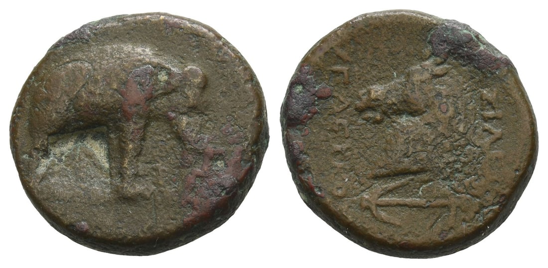 Seleukid Empire, Seleukos I Nikator AE 21mm.: Circa 300-281 BC. Apameia on the Orontes mint. Elephant walking to right; countermark within incuse square / Horse's head to left; anchor below, ???????? to right, ???????? to left. SC 35; WSM 1128; H