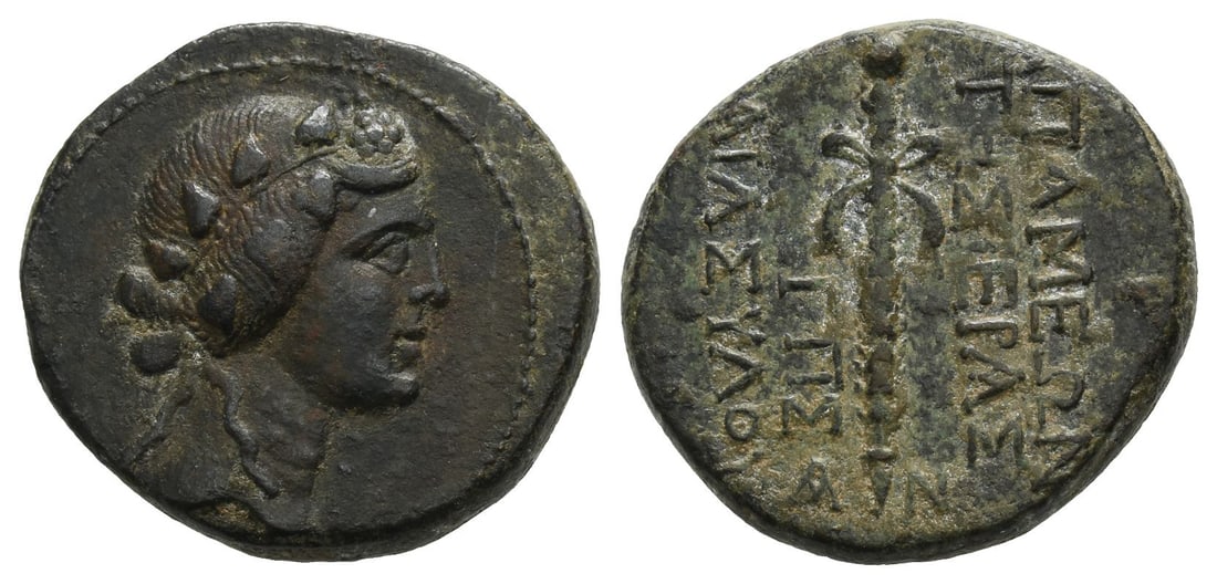 Seleukis and Pieria, Apameia AE 22mm. (1 of 1)